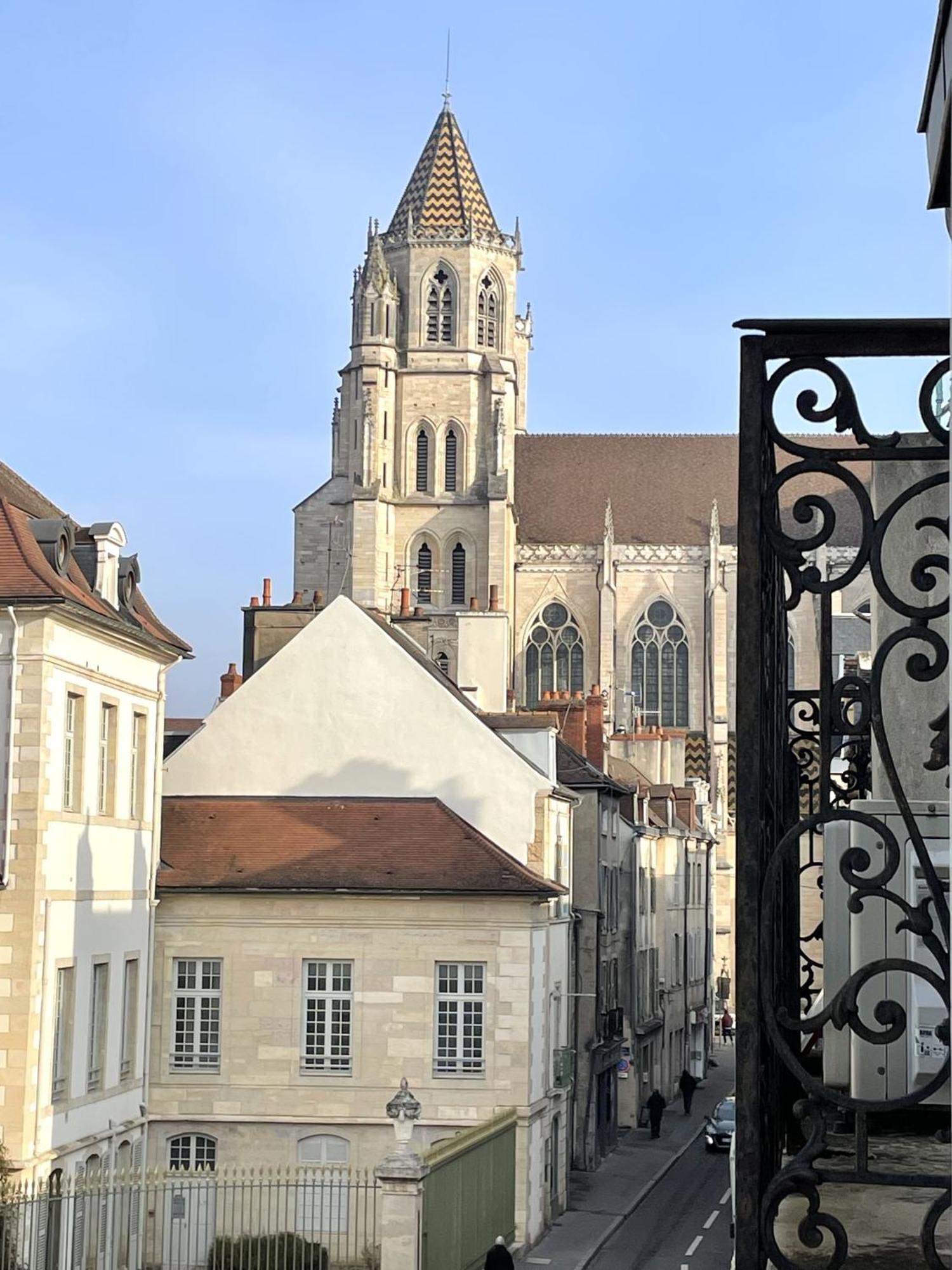 Sous Le Chene Bleu - Appartement Cosy Au Coeur De Dijon Bagian luar foto